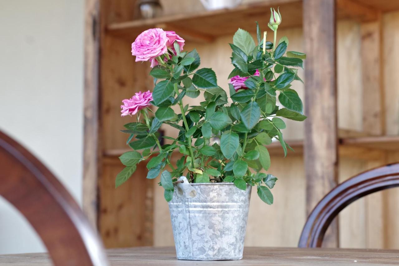 Beb Montefratta Bed & Breakfast Fratta Terme Bagian luar foto