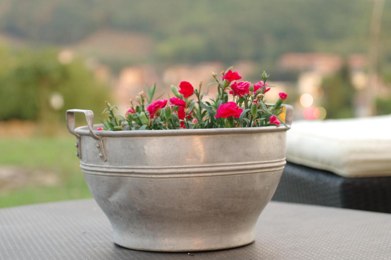Beb Montefratta Bed & Breakfast Fratta Terme Bagian luar foto