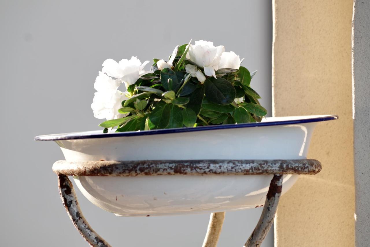 Beb Montefratta Bed & Breakfast Fratta Terme Bagian luar foto
