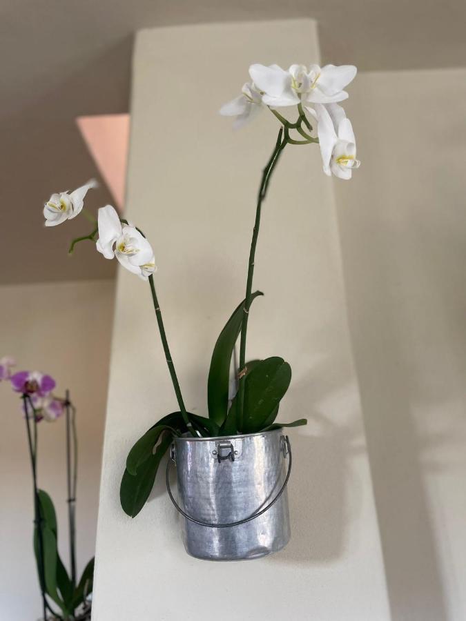 Beb Montefratta Bed & Breakfast Fratta Terme Bagian luar foto