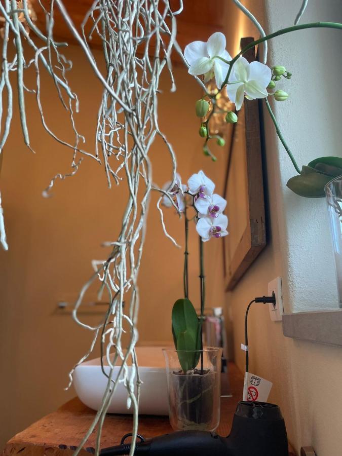 Beb Montefratta Bed & Breakfast Fratta Terme Bagian luar foto