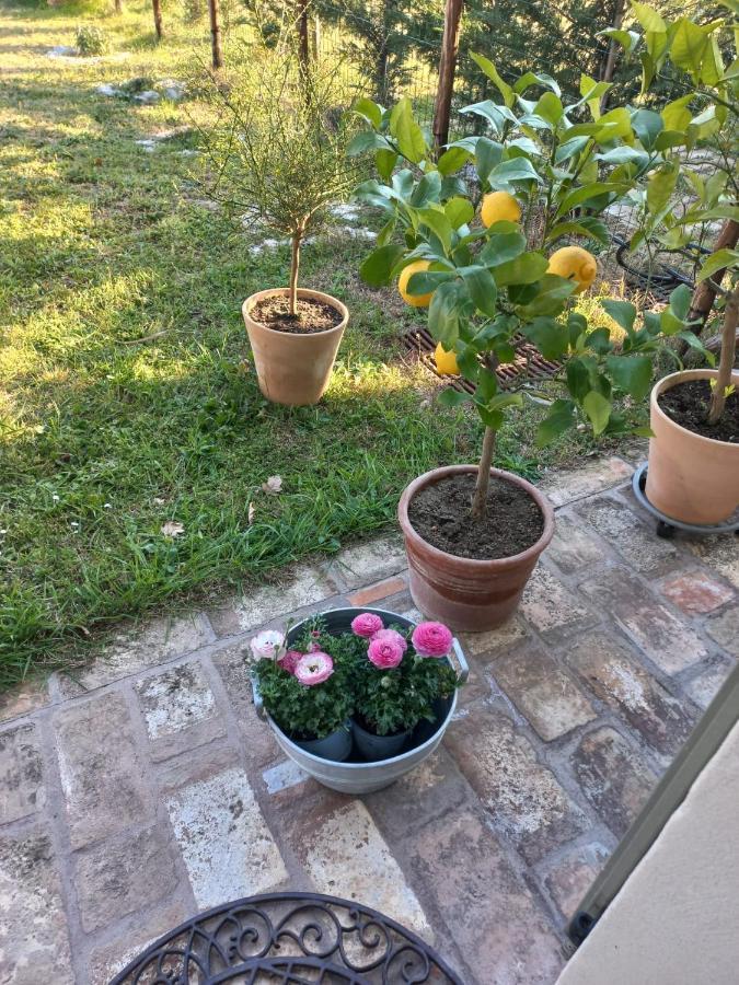 Beb Montefratta Bed & Breakfast Fratta Terme Bagian luar foto
