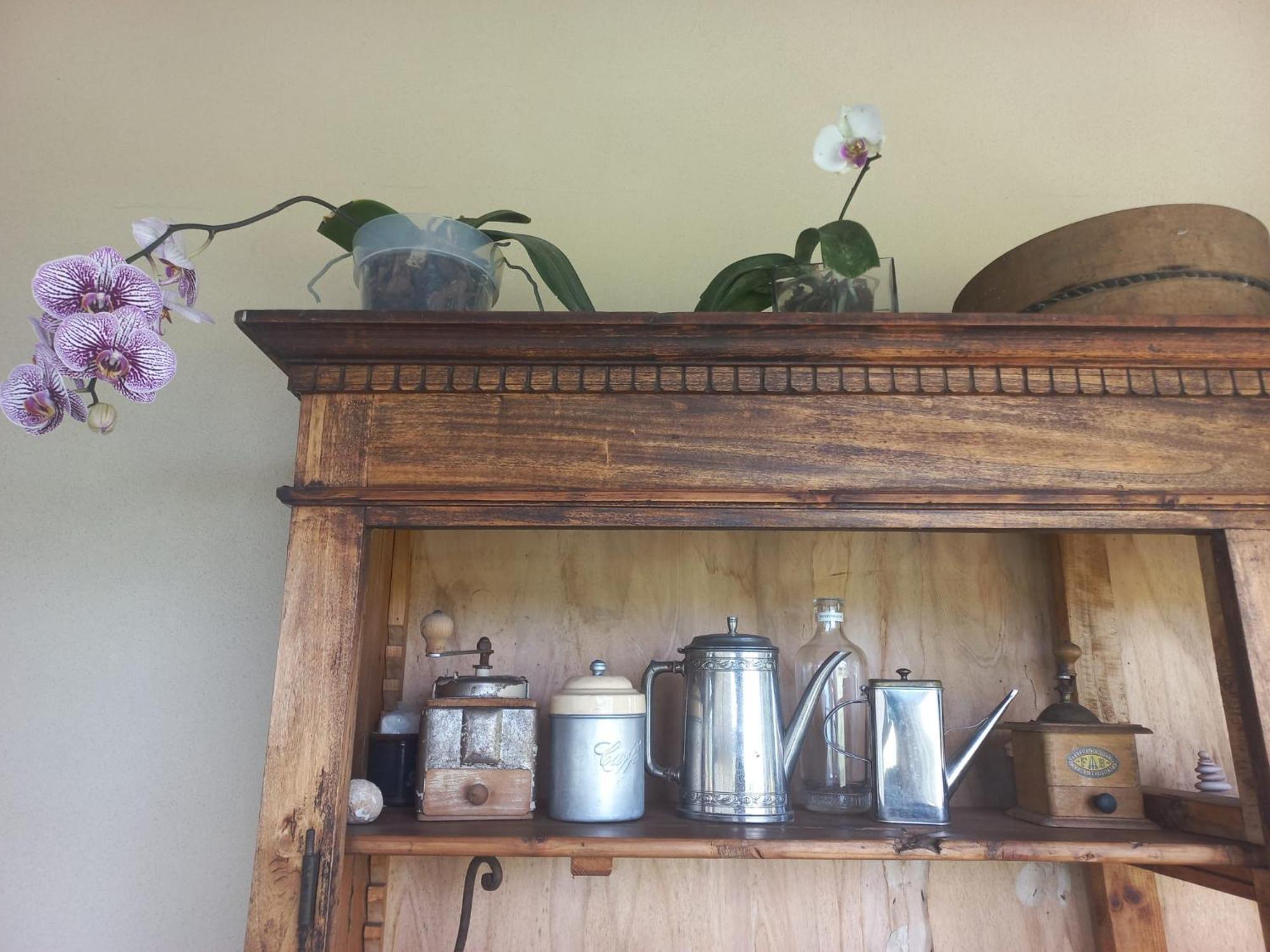 Beb Montefratta Bed & Breakfast Fratta Terme Bagian luar foto