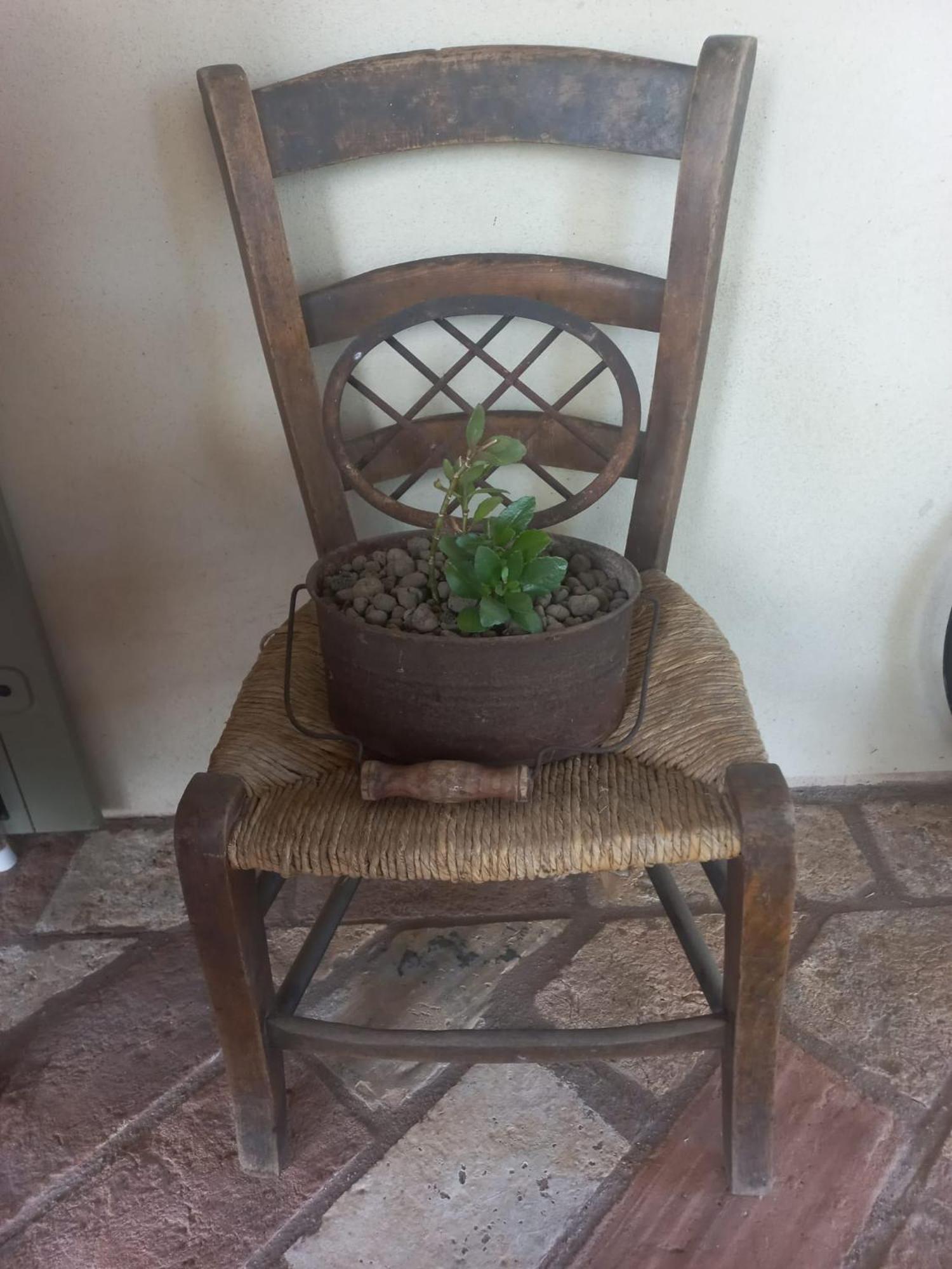 Beb Montefratta Bed & Breakfast Fratta Terme Bagian luar foto