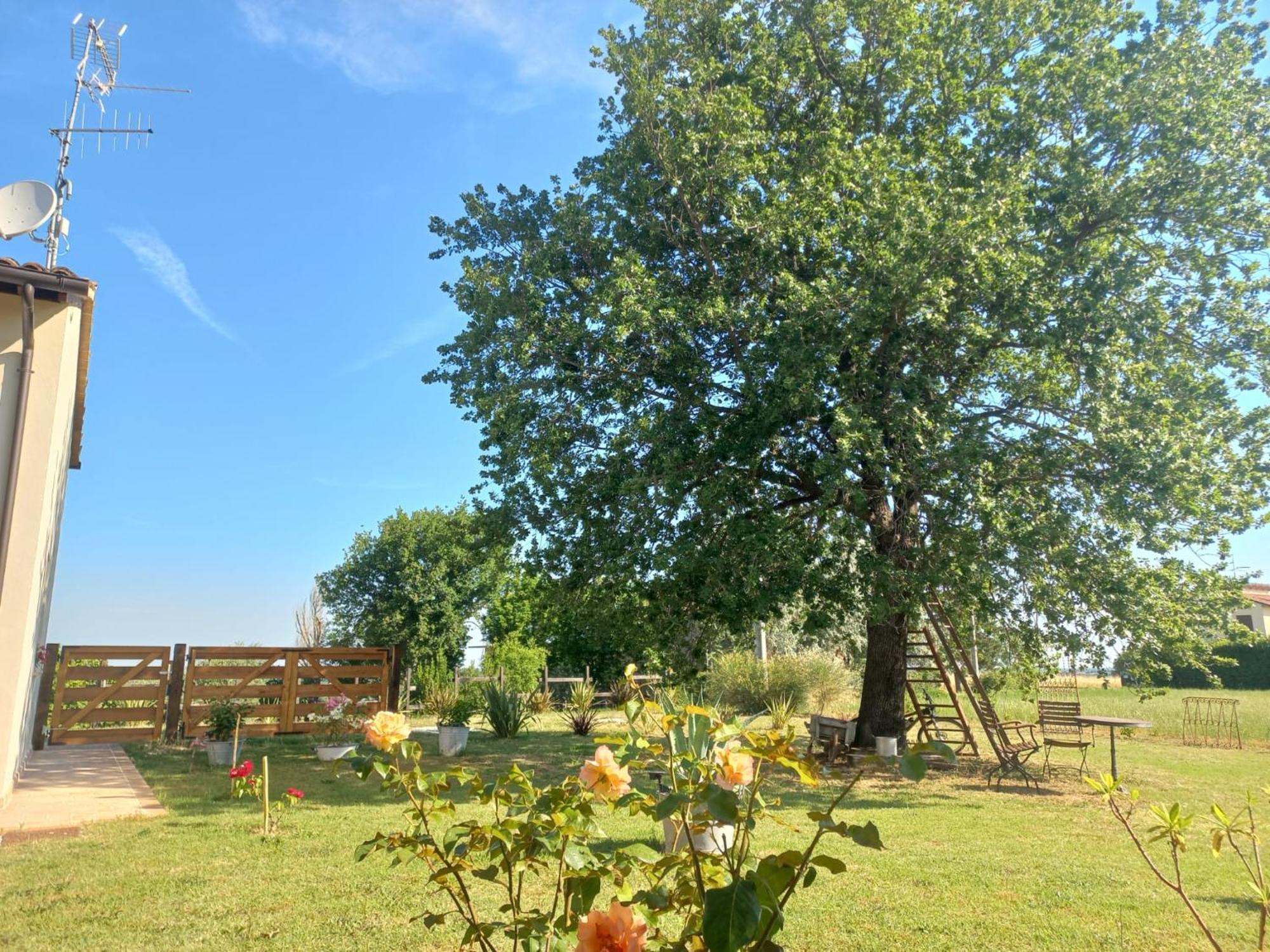 Beb Montefratta Bed & Breakfast Fratta Terme Bagian luar foto