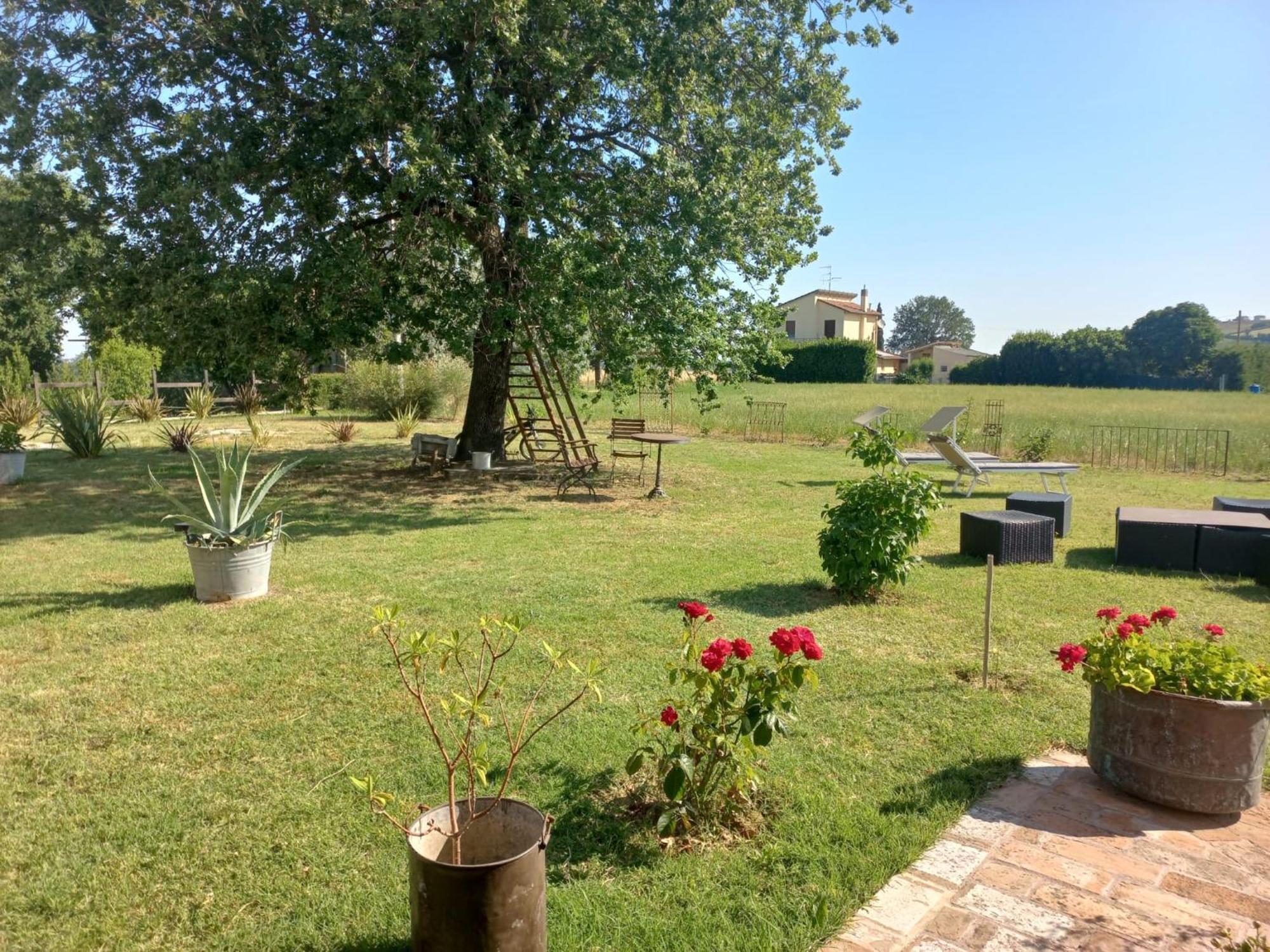 Beb Montefratta Bed & Breakfast Fratta Terme Bagian luar foto